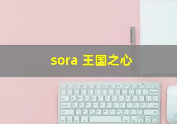 sora 王国之心